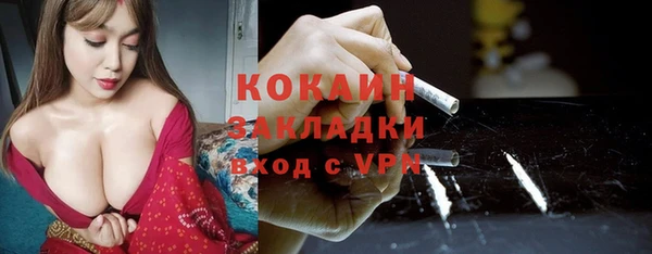 твердый Аркадак