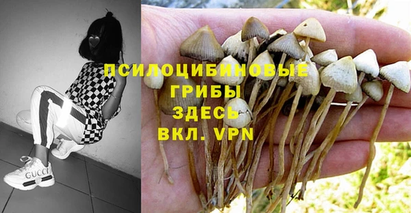 первитин Армянск